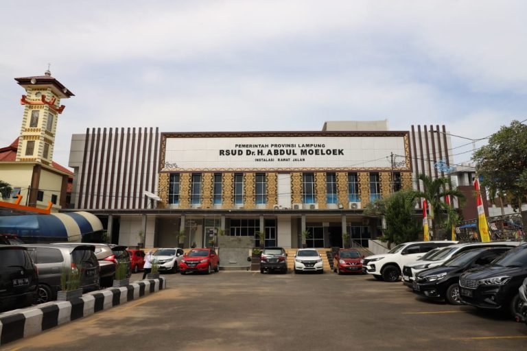 RSUD Dr. H. Abdul Moeloek (RSAM)